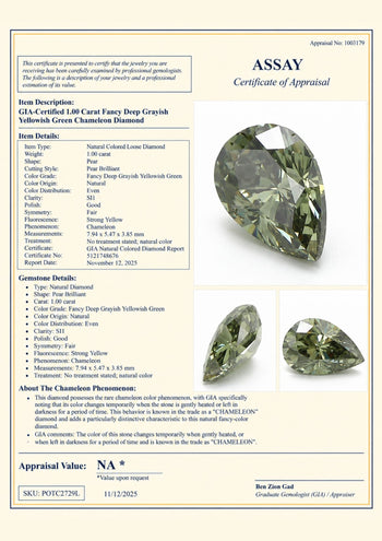 GIA Certified 1 Carat Pear Chameleon Diamond Fancy Green SI1 Natural Loose Stone – Assay Jewelers