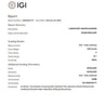 IGI Certified 6 Carat TW Lab Grown Diamond 14K Martini Stud Earrings
