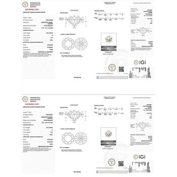 Orecchini a perno con chiusura a pressione, taglio rotondo totale 6 carati, certificati IGI, a 4 griffe, in oro 14K – Assay Jewelers